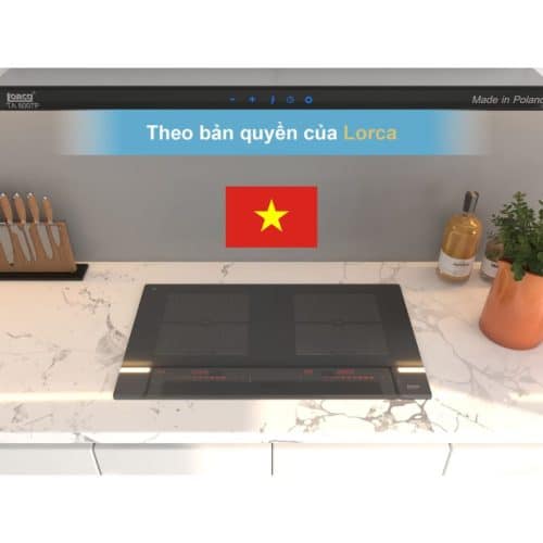 Xuất xứ Bếp từ đôi Lorca TA-1008C